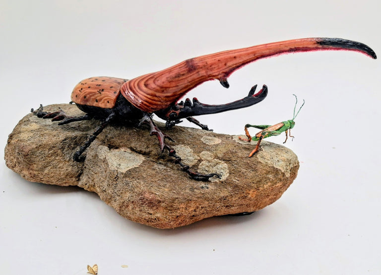 Shepard, Frank title: "Jake" and the Rhino Beetle