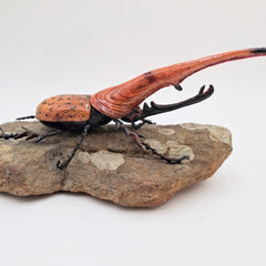 Shepard, Frank title: Rhino Beetle
