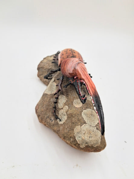 Shepard, Frank title: Rhino Beetle