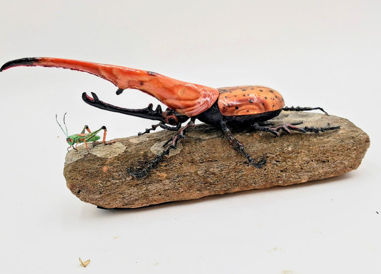 Shepard, Frank title: "Jake" and the Rhino Beetle