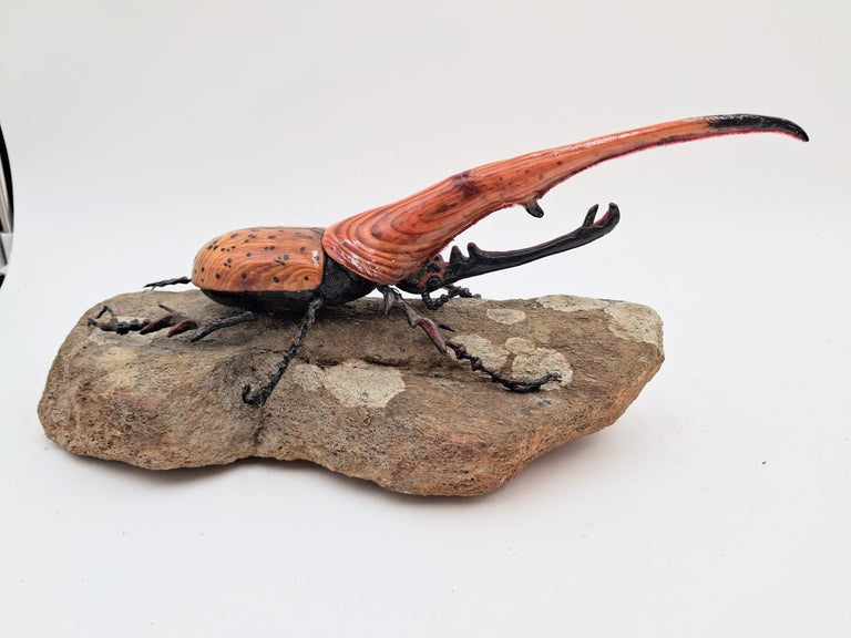 Shepard, Frank title: Rhino Beetle