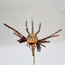 Shepard, Frank Title: Sparrow Lionfish