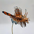 Shepard, Frank Title: Sparrow Lionfish