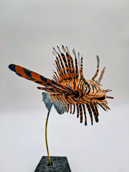 Shepard, Frank Title: Sparrow Lionfish