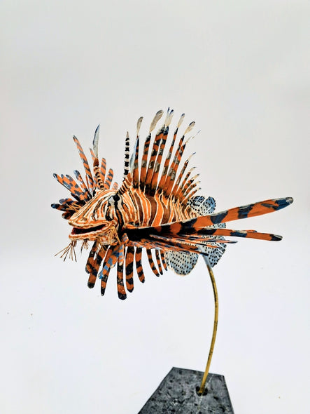 Shepard, Frank Title: Sparrow Lionfish