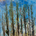 Spayd, Patrica title: Sunlight through Evergreens