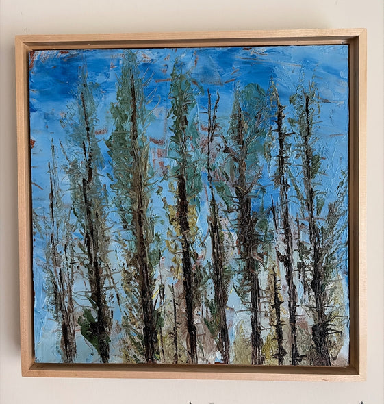 Spayd, Patrica title: Sunlight through Evergreens