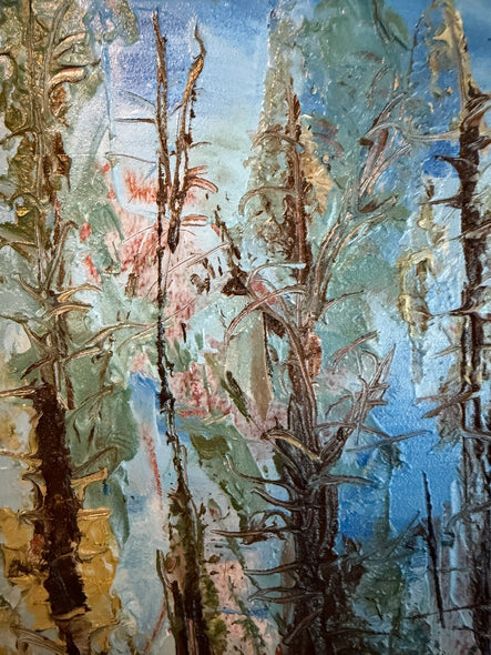 Spayd, Patrica title: Sunlight through Evergreens