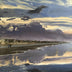 Sprinkle, Joel  title: Walk and Reflect