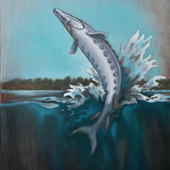 Steve Hedberg Title: Sturgeon Breach No.2