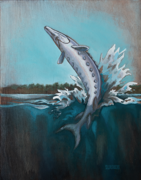 Steve Hedberg Title: Sturgeon Breach No.2