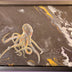 Stoumbos, Mike Title: Octopus Constellation