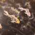Stoumbos, Mike Title: On Streams of Sunlight
