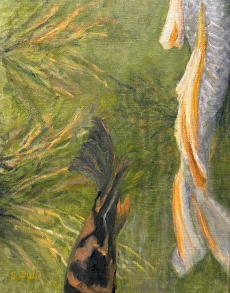 Dull, Susan Title: Oh Boy! Koi