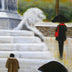 Suzanne Jepson Title: Dreary Day in the Piazza