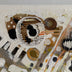 TYKA, Joanna  title: Brown in the City