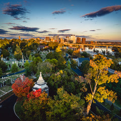 Tommy Nikitiuk Title: Autumn at Hollywood