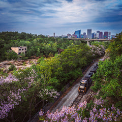 Tommy Nikitiuk Title: Purple Blossoms