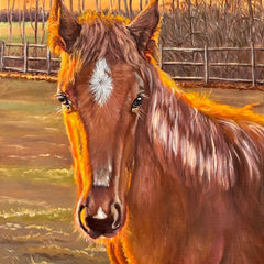 Taranenko,Taisiya Title: Lighted Colt