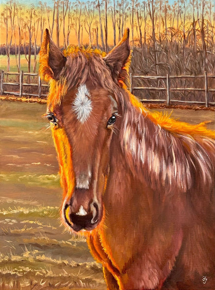 Taranenko,Taisiya Title: Lighted Colt