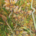 Teaford, Ginger  title: Luminous