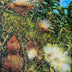 Teaford, Ginger Title: Thistlefire