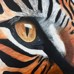 Marti Reed Title: Tiger’s Eye