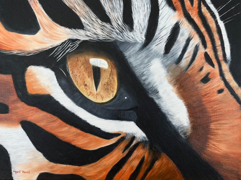 Marti Reed Title: Tiger’s Eye