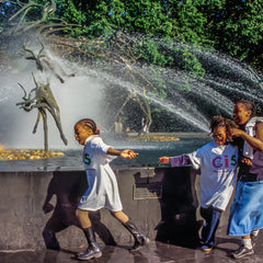 Tolbert, Brian title: Joy in Motion: Fountain Rainbow
