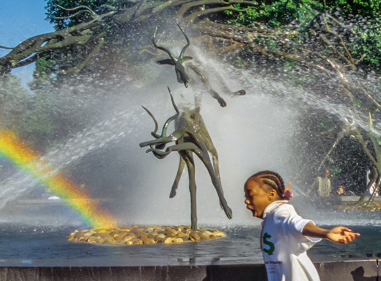 Tolbert, Brian title: Joy in Motion: Fountain Rainbow