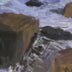 Ward, Gabrielle  title: Ocean Landscape