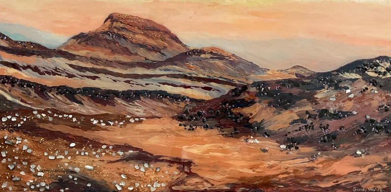 Watts, Sandra Title: Gediz Vallis Channel, Mars