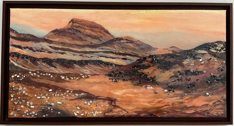 Watts, Sandra Title: Gediz Vallis Channel, Mars