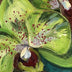 Watts, Sandra  title: Moth Orchid