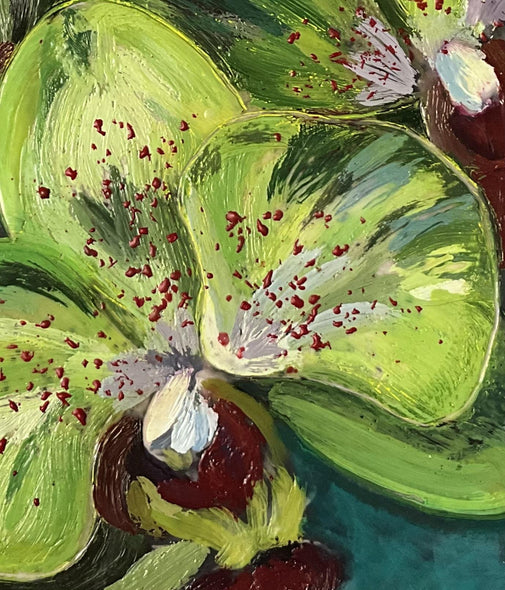 Watts, Sandra  title: Moth Orchid