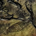 Watts, Sandra  title: Twig and Copper Brace