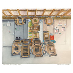 Wilhelmina Estrada Title: Dollywood at Shalom Farms