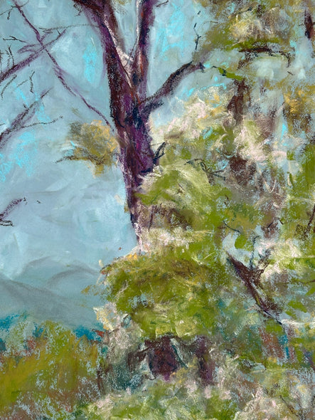 Wilkin, Diane Title: Say YES to the Journey