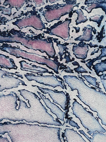 Wilkin, Diane Title: Wet Snow