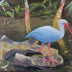 Curry, William Title: Florida Ibis Bird