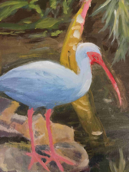 Curry, William Title: Florida Ibis Bird
