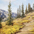 Wittler, Joan  title: Alpine Trail