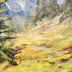 Wittler, Joan  title: Alpine Trail