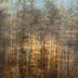 Yeaw, Timothy Title: Winter Tree Line