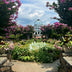 Limon, Lynn Title: 	Summer Glory, Ginter Botanical Garden