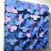 Patricia Hooten Title: Perennial Petals Cool