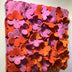 Patricia Hooten Title: Perennial Petals Warm
