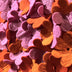 Patricia Hooten Title: Perennial Petals Warm