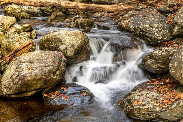 Tom Hennessy Title: Mountain Stream