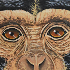 Melanie Conrad Title: Chimp (Eyes I)